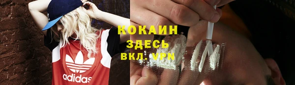 шишки Арсеньев
