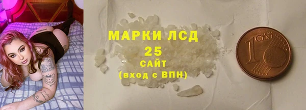 шишки Арсеньев