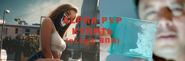 шишки Арсеньев