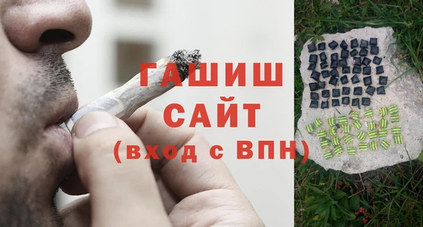шишки Арсеньев