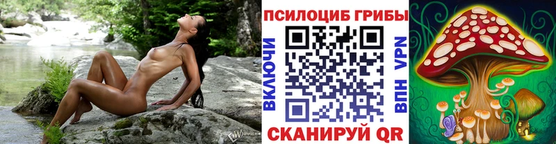 сколько стоит  Полысаево  Галлюциногенные грибы GOLDEN TEACHER 